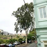 Eucalipto Las Palmas de Gran Canaria