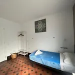 Eucalipto * Las Palmas de Gran Canaria
