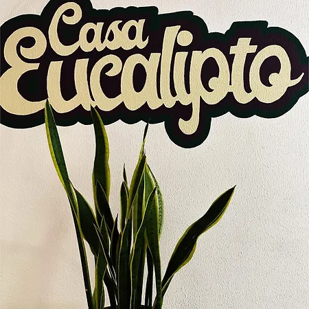 Eucalipto Hostel *