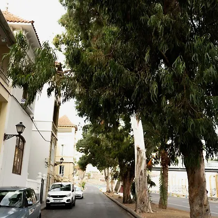 Eucalipto Auberge de jeunesse Las Palmas de Gran Canaria