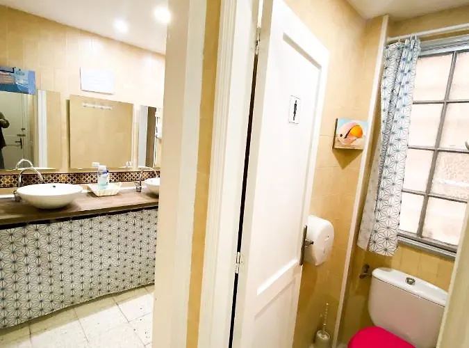 Eucalipto Λας Πάλμας ντε Γκραν Κανάρια