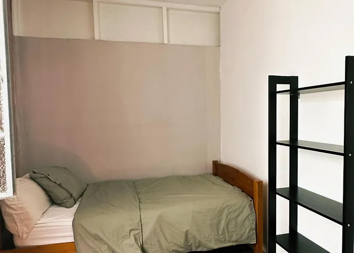 Eucalipto Λας Πάλμας ντε Γκραν Κανάρια