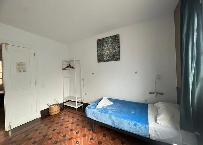 Eucalipto * Λας Πάλμας ντε Γκραν Κανάρια